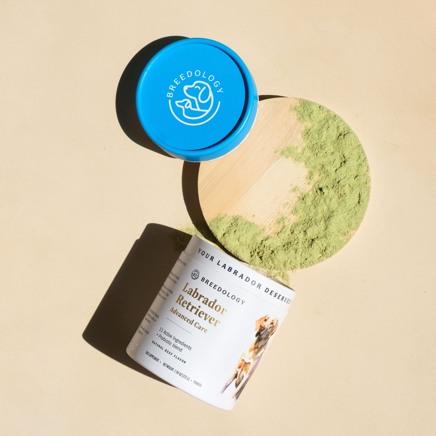 Labrador Retriever Advanced Care