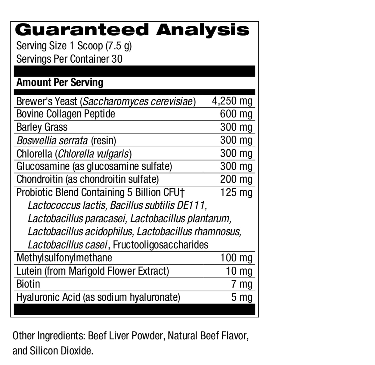 Labrador Retriever Advanced Care