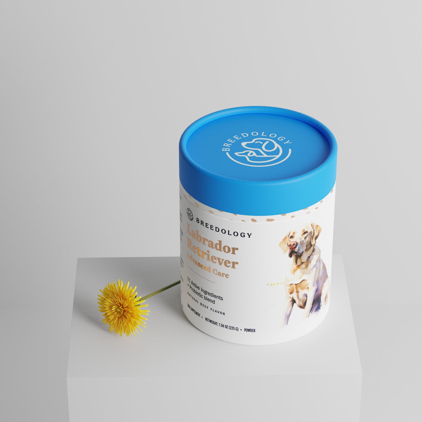 Labrador Retriever Advanced Care