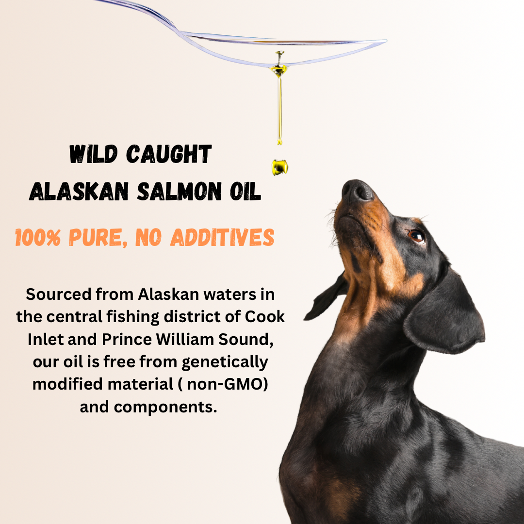 Pure Wild Alaskan Salmon Oil