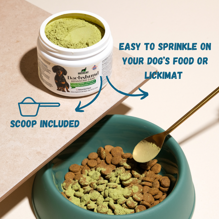 Dachshund Advanced Care Supplements For Dachshunds by Breedology
