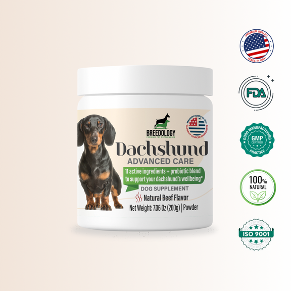 Dachshund Advanced Care Supplements For Dachshunds by Breedology