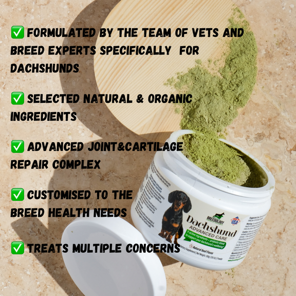 Dachshund Advanced Care Supplements For Dachshunds by Breedology