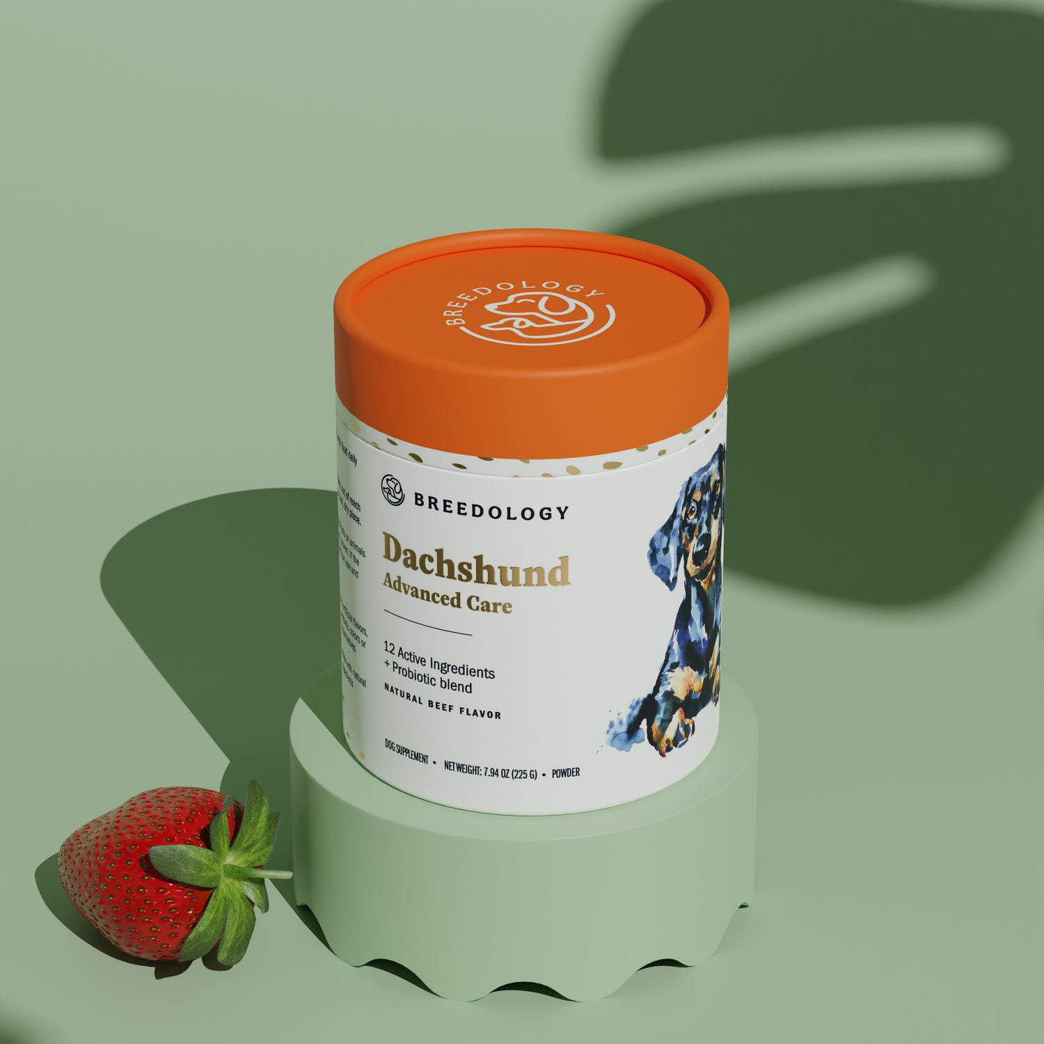 Dachshund vitamins deals