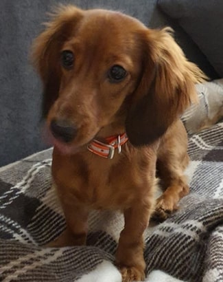 Bella
